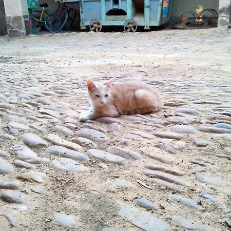 Casa Rural Abuela Tina Antonan del Valle المظهر الخارجي الصورة