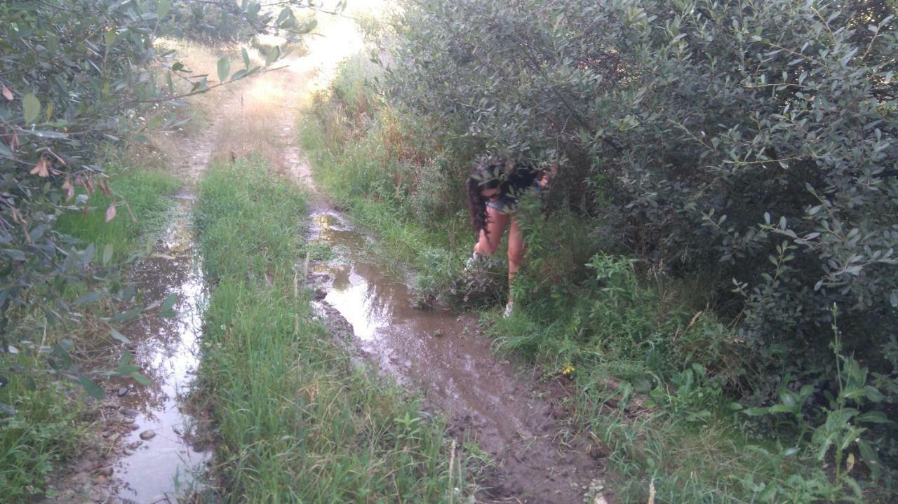 Casa Rural Abuela Tina Antonan del Valle المظهر الخارجي الصورة